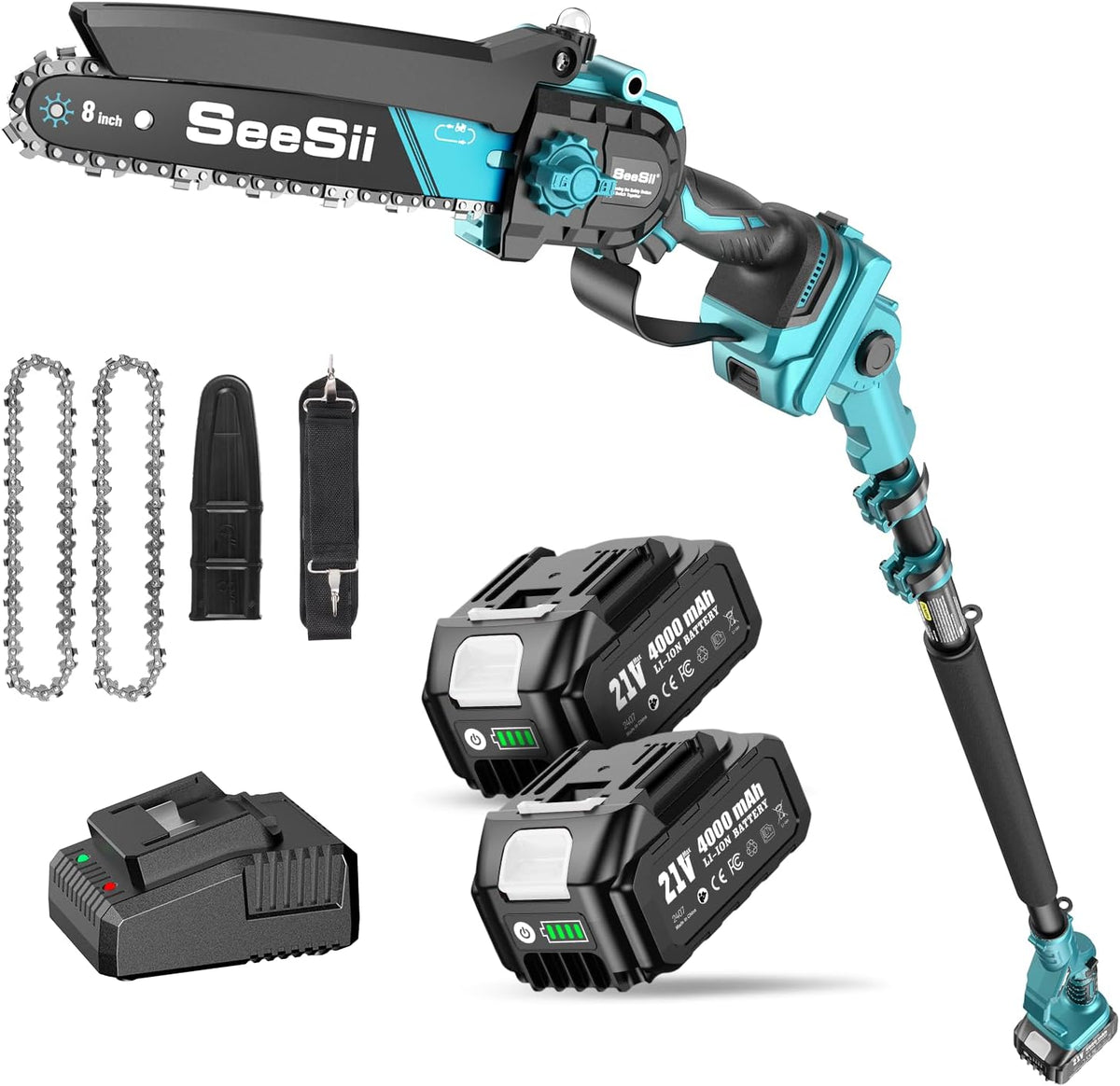 Motosierra, Seesii